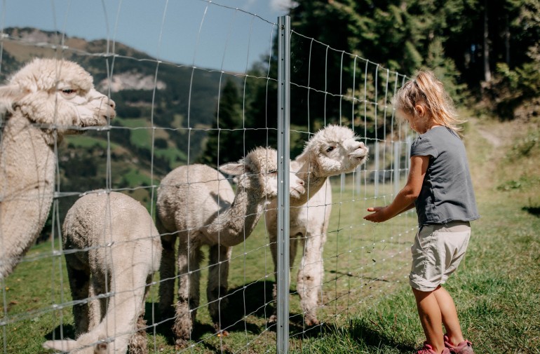 Familienhotel mit Alpaka